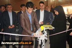 دکتر ضیایی سرپرست استانی دانشگاه فرهنگیان در جلسه شورای اداری آموزش و پرورش ناحیه 2 بندرعباس 6