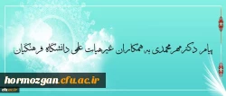 پیام دکترمهرمحمدی به همکاران غیرهیات علمی دانشگاه فرهنگیان 2