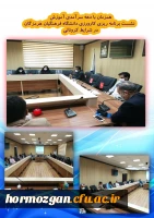 نشست برنامه ریزی کارورزی دانشگاه فرهنگیان هرمزگان در شرایط کرونایی 3