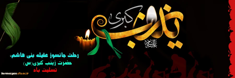 
رحلت جانسوز عقیله بنی هاشم، حضرت زینب کبری(س) تسلیت باد
 2