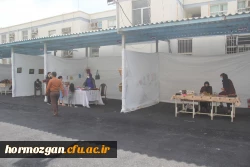 برگزاری جشنواره فرهنگ و هنر هرمزگان در دانشگاه فرهنگیان هرمزگان 4