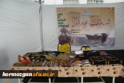 برگزاری جشنواره فرهنگ و هنر هرمزگان در دانشگاه فرهنگیان هرمزگان 21