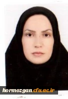 زرین صادقی پور