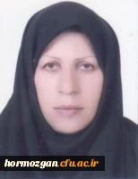 سیده سلیمه محبی