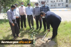 کاشت ١٧٠نهال نارنج  جدید در نارنجستان دانشگاه فرهنگیان هرمزگان 2