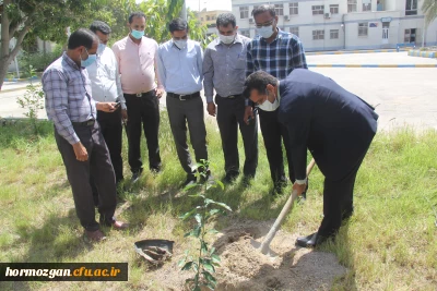  در اخرین روز از هفته درختکاری و منابع طبیعی برگزار شد:

کاشت ١٧٠نهال نارنج  جدید در نارنجستان دانشگاه فرهنگیان هرمزگان