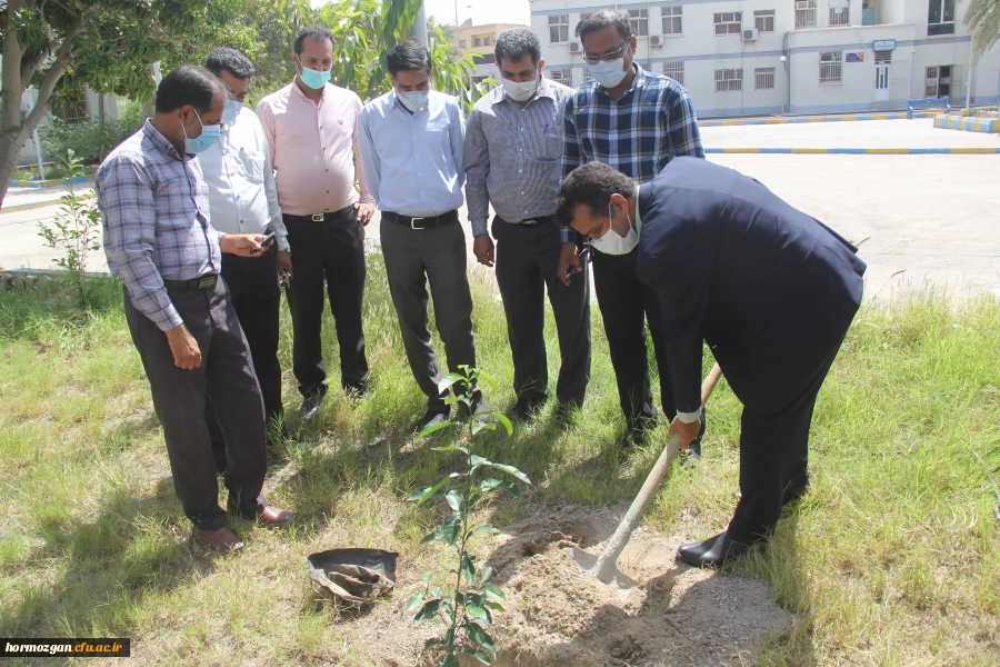 کاشت ١٧٠نهال نارنج  جدید در نارنجستان دانشگاه فرهنگیان هرمزگان 2