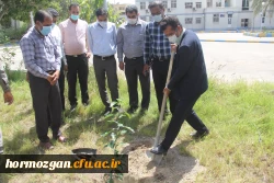 کاشت ١٧٠نهال نارنج  جدید در نارنجستان دانشگاه فرهنگیان هرمزگان 4