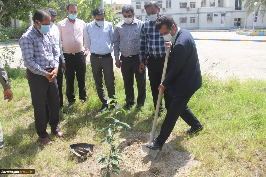 کاشت ١٧٠نهال نارنج  جدید در نارنجستان دانشگاه فرهنگیان هرمزگان 4