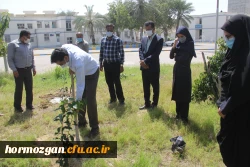 کاشت ١٧٠نهال نارنج  جدید در نارنجستان دانشگاه فرهنگیان هرمزگان 7