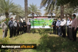 کاشت ١٧٠نهال نارنج  جدید در نارنجستان دانشگاه فرهنگیان هرمزگان 3