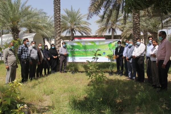 کاشت ١٧٠نهال نارنج  جدید در نارنجستان دانشگاه فرهنگیان هرمزگان 3