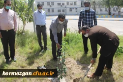 کاشت ١٧٠نهال نارنج  جدید در نارنجستان دانشگاه فرهنگیان هرمزگان 5