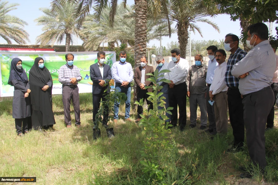 کاشت ١٧٠نهال نارنج  جدید در نارنجستان دانشگاه فرهنگیان هرمزگان 9