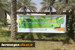 کاشت ١٧٠نهال نارنج  جدید در نارنجستان دانشگاه فرهنگیان هرمزگان 10