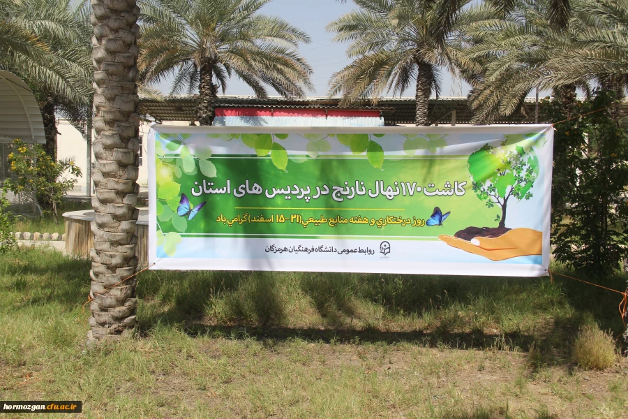 کاشت ١٧٠نهال نارنج  جدید در نارنجستان دانشگاه فرهنگیان هرمزگان 10