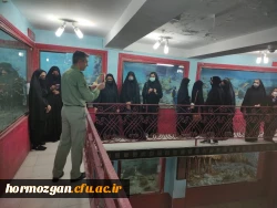 بازدیدهای علمی دانشجویان ورودی 98 پردیس شهید بهشتی و فاطمه الزهرا از پارک علم و فناوری هرمزگان، کانون پرورش فکری کودکان و نوجوانان و اداره کل حفاظت محیط زیست  15