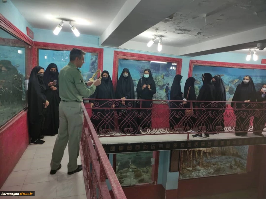 بازدیدهای علمی دانشجویان ورودی 98 پردیس شهید بهشتی و فاطمه الزهرا از پارک علم و فناوری هرمزگان، کانون پرورش فکری کودکان و نوجوانان و اداره کل حفاظت محیط زیست  15