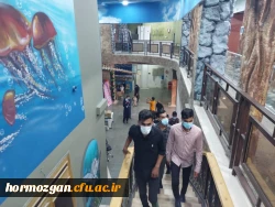 بازدیدهای علمی دانشجویان ورودی 98 پردیس شهید بهشتی و فاطمه الزهرا از پارک علم و فناوری هرمزگان، کانون پرورش فکری کودکان و نوجوانان و اداره کل حفاظت محیط زیست  2