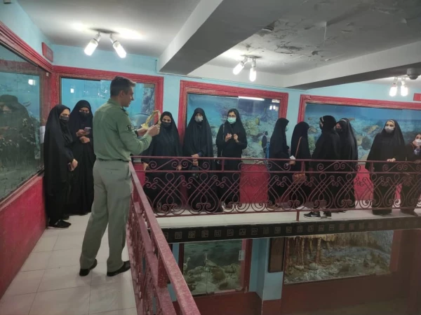 بازدیدهای علمی دانشجویان ورودی 98 پردیس شهید بهشتی و فاطمه الزهرا از پارک علم و فناوری هرمزگان، کانون پرورش فکری کودکان و نوجوانان و اداره کل حفاظت محیط زیست  2