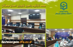 جلسه کارگروه راهبری کارورزی استان هرمزگان