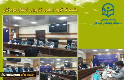 جلسه کارگروه راهبری کارورزی استان برگزارگردید