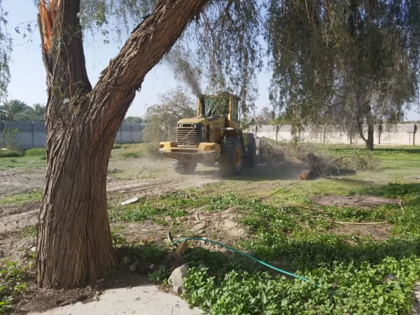 photo_2023-02-08_08-28-02