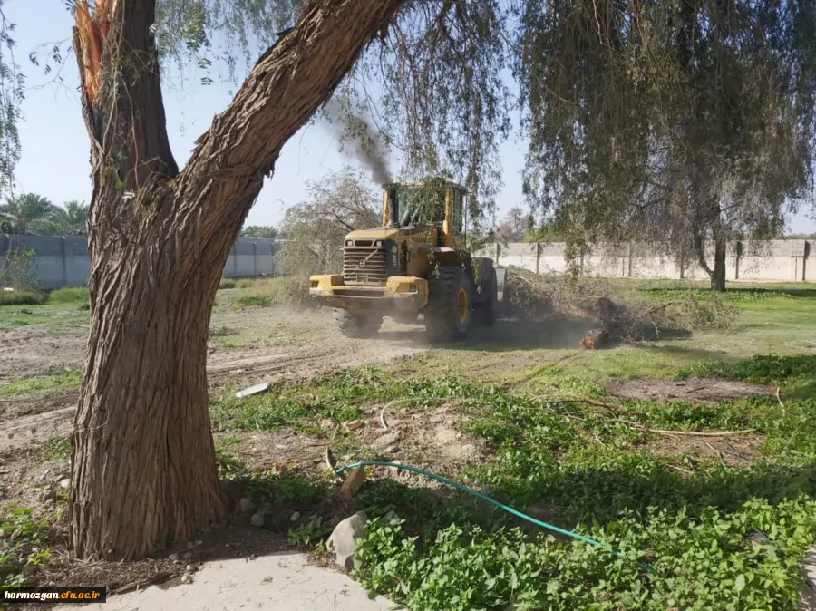 photo_2023-02-08_08-28-02