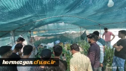 اردو یک روزه گروه آموزش جغرافیا دانشگاه فرهنگیان هرمزگان به شهرستان فین در استان هرمزگان  6