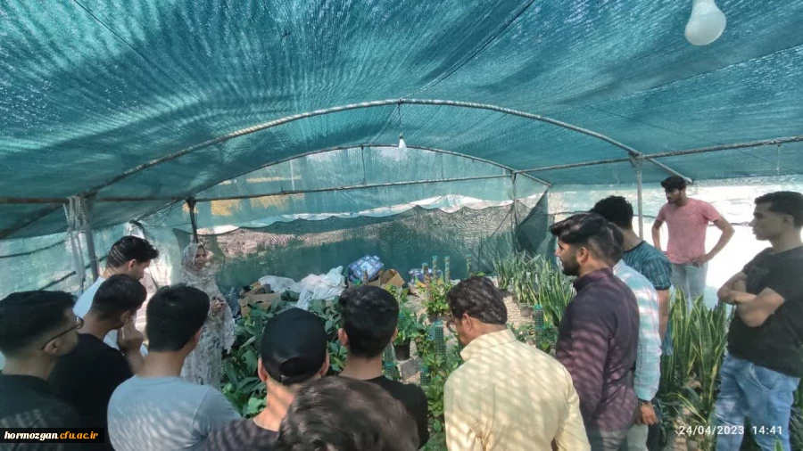 اردو یک روزه گروه آموزش جغرافیا دانشگاه فرهنگیان هرمزگان به شهرستان فین در استان هرمزگان  6