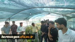 اردو یک روزه گروه آموزش جغرافیا دانشگاه فرهنگیان هرمزگان به شهرستان فین در استان هرمزگان  7