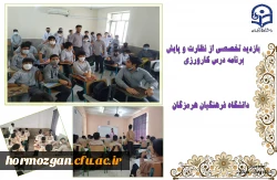 بازدید تخصصی از نظارت و پایش برنامه درسی کارورزی دانشگاه فرهنگیان استان هرمزگان 3