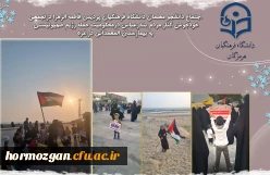 اجتماع دانشجو معلمان دانشگاه فرهنگیان هرمزگان در کنار مردم بندر عباس در محکومیت حمله رژیم صهیونیستی به بیمارستان المعمدانی در غزه 3