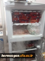 photo_2023-12-27_12-32-44