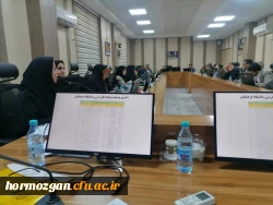 نشست دانش افزایی مدیران گروه های آموزشی - تربیتی قطب های 4و 5 کشور در استان هرمزگان  2