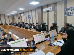 نشست دانش افزایی مدیران گروه های آموزشی - تربیتی قطب های 4و 5 کشور در استان هرمزگان  3