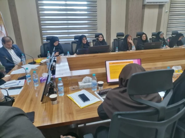 نشست دانش افزایی مدیران گروه های آموزشی - تربیتی قطب های 4و 5 کشور در استان هرمزگان  4