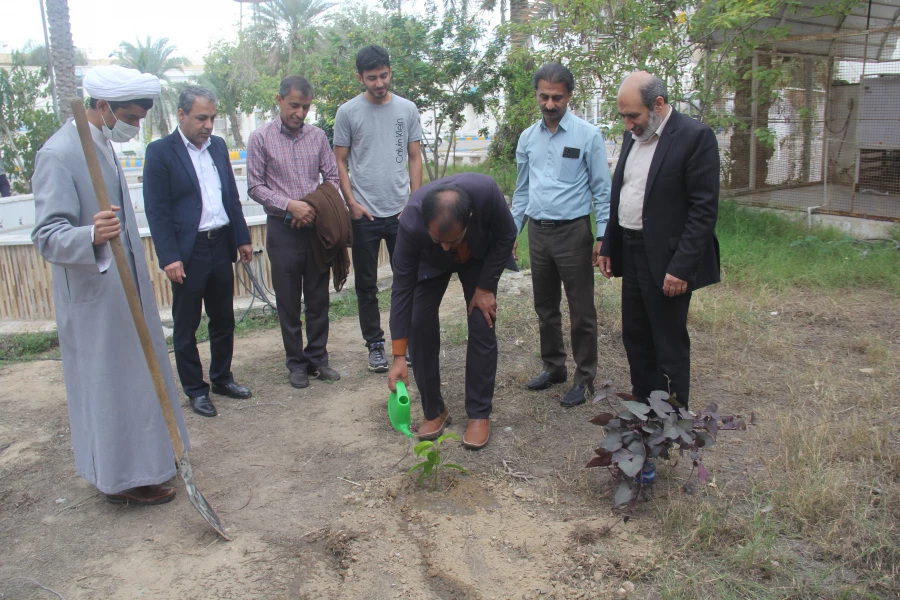 بمناسبت روز درختکاری با حضور مدیریت دانشگاه ، مسئولین و دانشجو معلمان دانشگاه فرهنگیان تعدادی نهال بصورت نمادین در محوطه پردیس شهید بهشتی دانشگاه فرهنگیان کاشته شد. 9