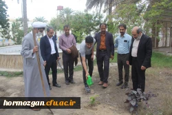 بمناسبت روز درختکاری با حضور مدیریت دانشگاه ، مسئولین و دانشجو معلمان دانشگاه فرهنگیان تعدادی نهال بصورت نمادین در محوطه پردیس شهید بهشتی دانشگاه فرهنگیان کاشته شد. 8