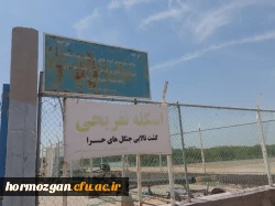   بازدید ازتالاب بین المللی خور خوران واقع در بندر خمیر 5