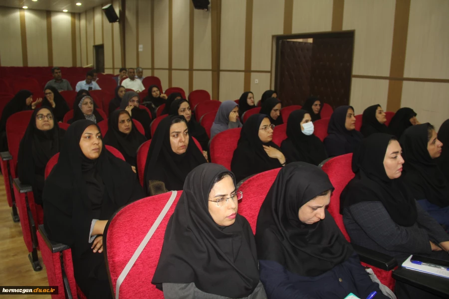دومین روز دوره  توانمندسازی تربیت ارزیاب حرفه ای ویژه دانشگاه فرهنگیان هرمزگان 13