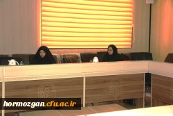 برگزاری کارگاه توانمندسازی اعضای هیات علمی با عنوان «آشنایی با نحوه بارگزاری مدارک در سامانه گلستان جهت ترفیع » 3