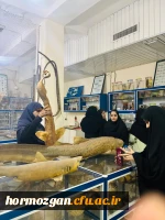 photo_2025-11-19_10-23-23