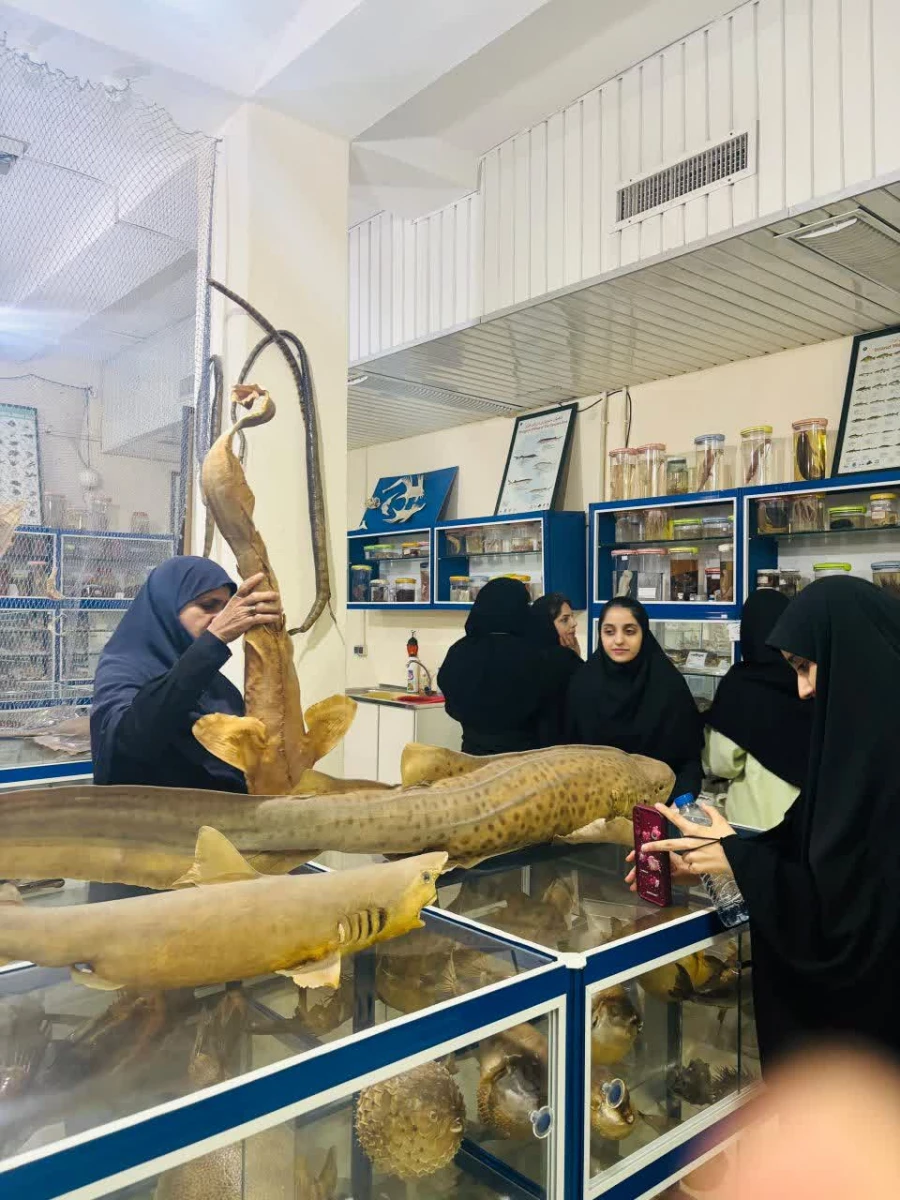 photo_2025-11-19_10-23-23