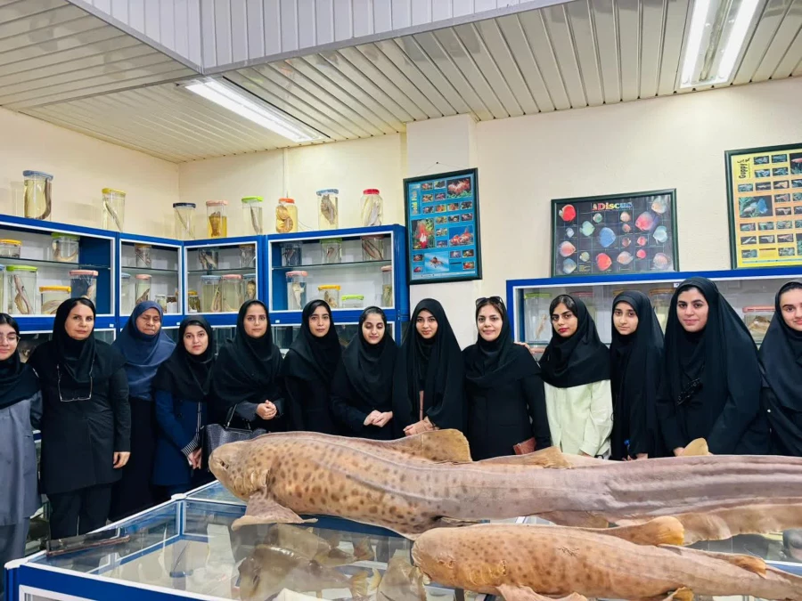 photo_2025-11-19_10-23-42