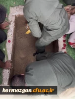 در۱۳ آذرماه، دانشگاه فرهنگیان هرمزگان ، پردیس شهید بهشتی  میزبان بوی عطر شهادت شد. 88