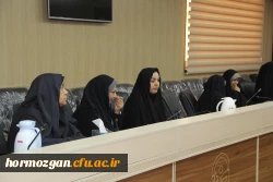 نهاد نمایندگی مقام معظم رهبری  در دانشگاه های استان  هرمزگان  با همکاری سازمان بسیج اساتید استان هرمزگان پیش اجلاس مهدویت و انقلاب اسلامی با موضوع 