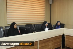 نهاد نمایندگی مقام معظم رهبری  در دانشگاه های استان  هرمزگان  با همکاری سازمان بسیج اساتید استان هرمزگان پیش اجلاس مهدویت و انقلاب اسلامی با موضوع 