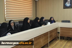 نهاد نمایندگی مقام معظم رهبری  در دانشگاه های استان  هرمزگان  با همکاری سازمان بسیج اساتید استان هرمزگان پیش اجلاس مهدویت و انقلاب اسلامی با موضوع 