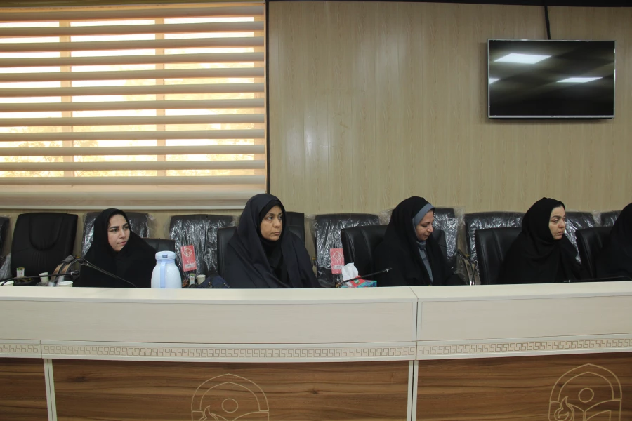 نهاد نمایندگی مقام معظم رهبری  در دانشگاه های استان  هرمزگان  با همکاری سازمان بسیج اساتید استان هرمزگان پیش اجلاس مهدویت و انقلاب اسلامی با موضوع "نقش خانواده درظهوروایجاد تمدن اسلامی با رویکرد ظرفیت های انقلاب اسلامی"  12